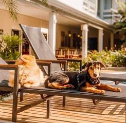 whatsapp image 2022-09-14 at 21.07.46.jpeg