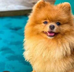 whatsapp image 2022-09-20 at 20.38.20.jpeg