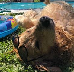 whatsapp image 2022-09-20 at 20.31.17.jpeg