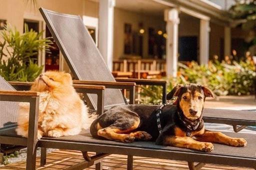 whatsapp image 2022-09-14 at 21.07.46.jpeg