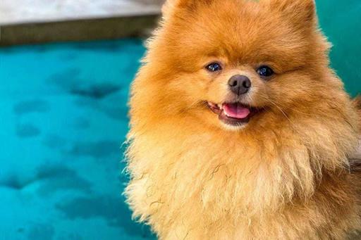 whatsapp image 2022-09-20 at 20.38.20.jpeg