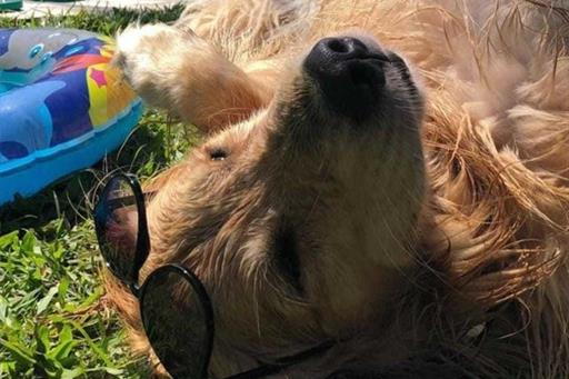 whatsapp image 2022-09-20 at 20.31.17.jpeg