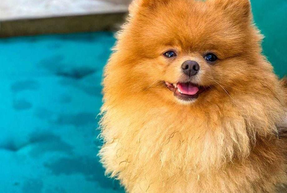 whatsapp image 2022-09-20 at 20.38.20.jpeg