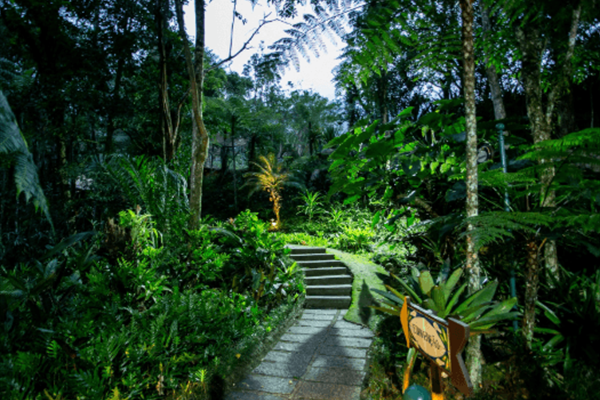 Foto 41 de Hotel Caminhos de Itaipava