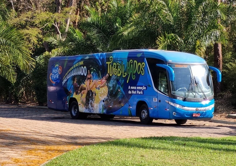 bus.jpg