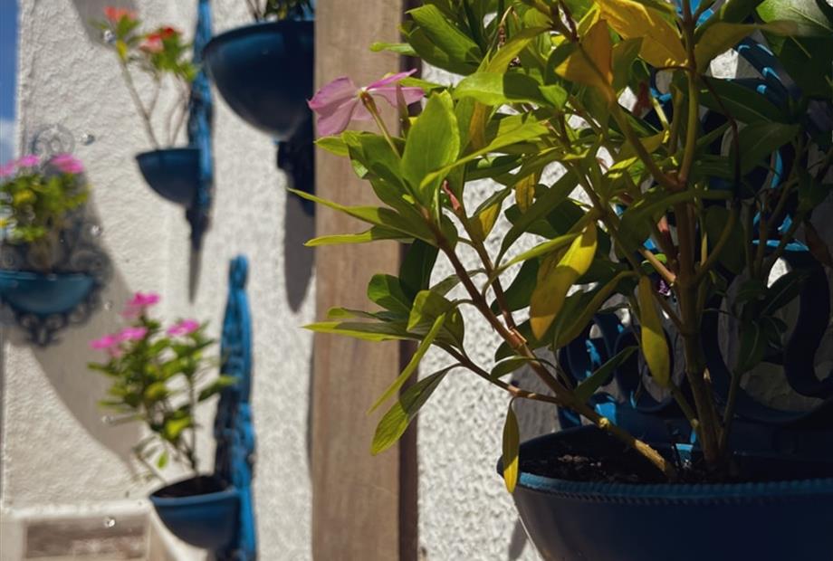 whatsapp image 2026-03-04 at 13.59.40.jpeg