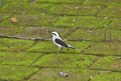 whatsapp image 2026-03-06 at 10.32.26.jpeg