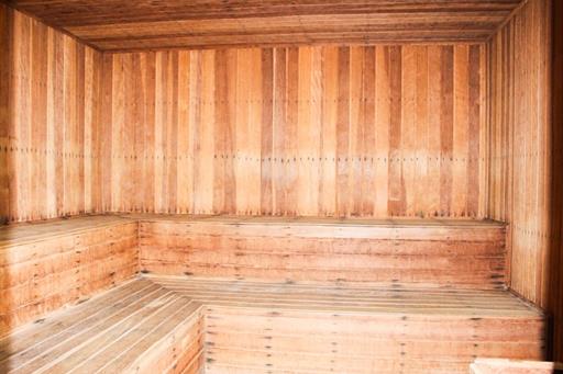 whatsapp image 2026-03-06 at 10.36.12.jpeg