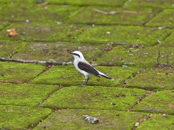 whatsapp image 2026-03-06 at 10.32.26.jpeg