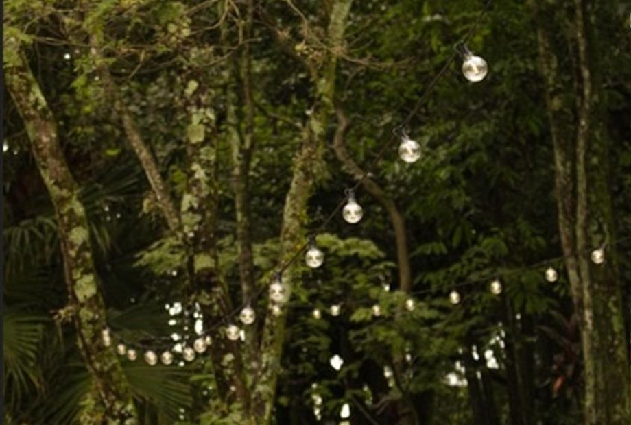 whatsapp image 2026-03-06 at 09.35.51.jpeg