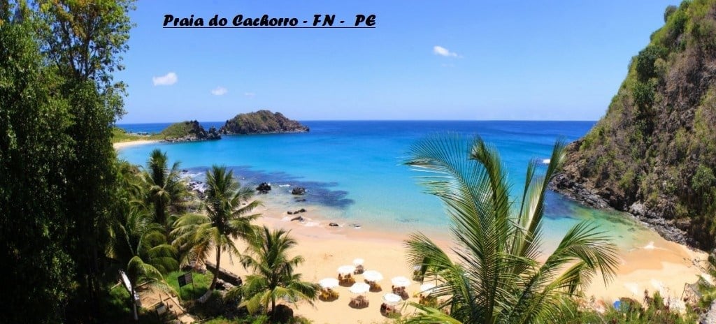praia-do-cachorro-1024x464 (1).jpg