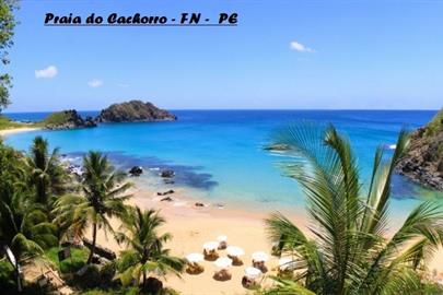 praia-do-cachorro-1024x464 (1).jpg
