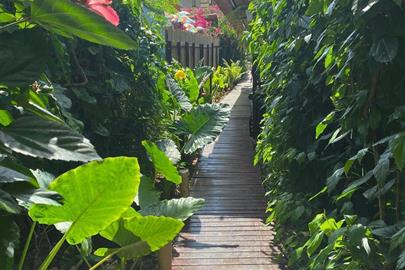 area externa casa berna 03.jpg