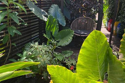 area externa casa berna 04.jpg