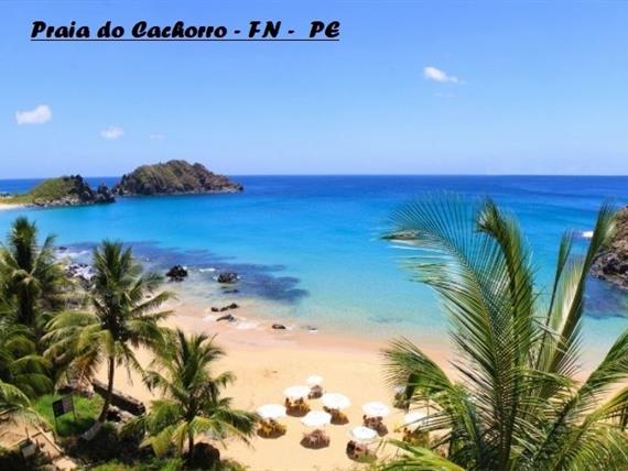 praia-do-cachorro-1024x464 (1).jpg
