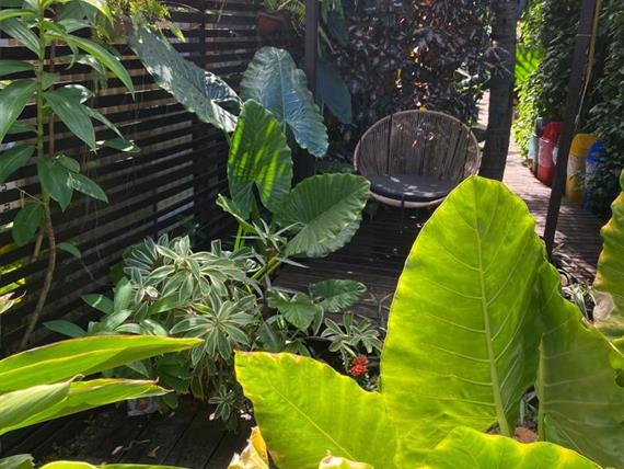 area externa casa berna 04.jpg