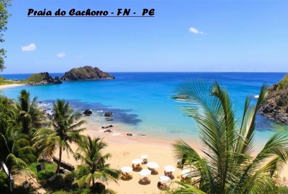 praia-do-cachorro-1024x464 (1).jpg