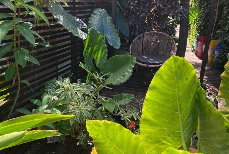 area externa casa berna 04.jpg