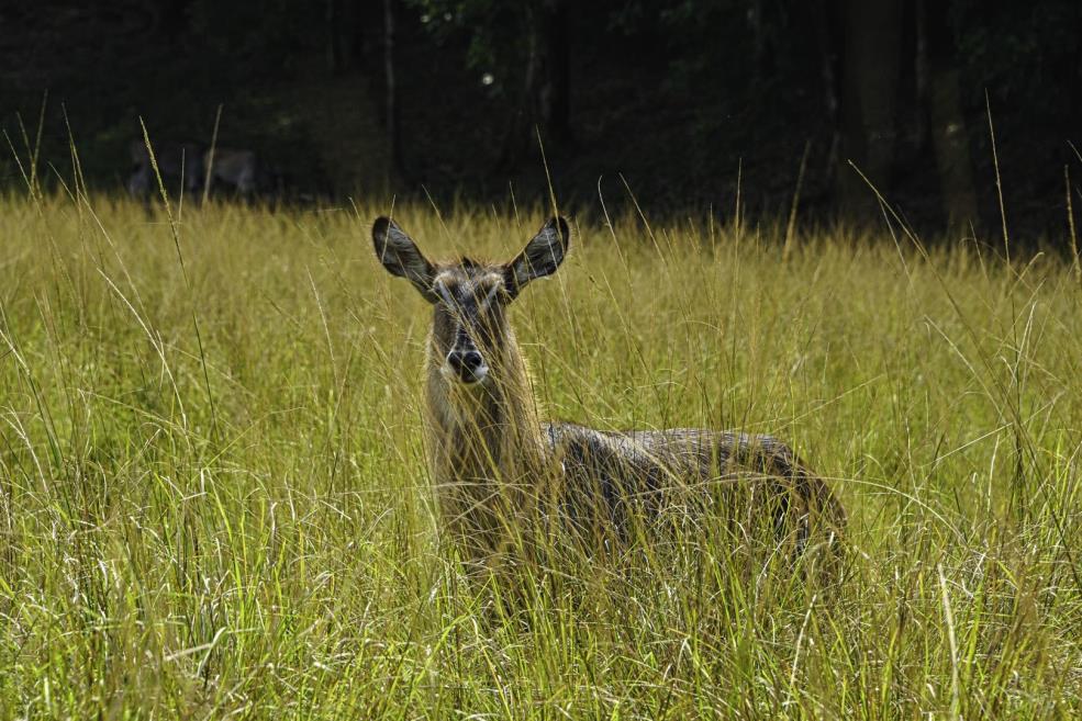 dsc_1711.jpg