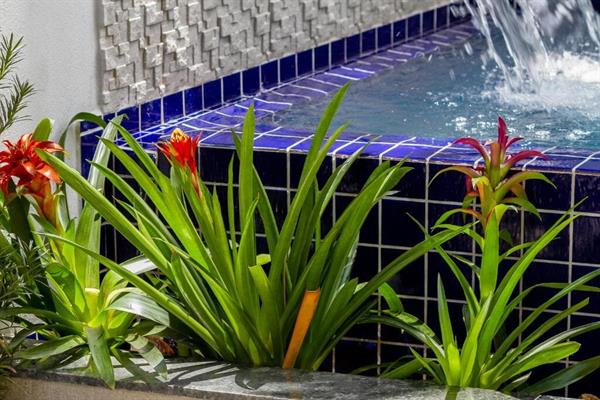 Foto 45 do Calamar Flats Paraty