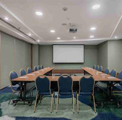 hilton-1 (1) (1).jpg