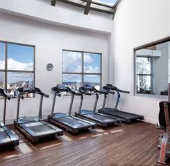 Academia de ginástica.jpg