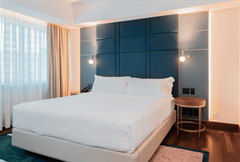 Superior - 01 King Size Bed