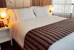 Business Premier - Cama doble