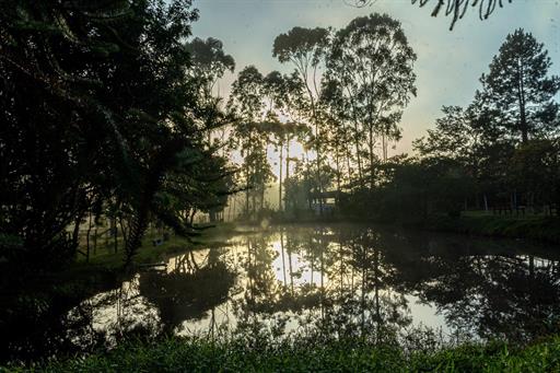 bezerra julho 21-57.jpg