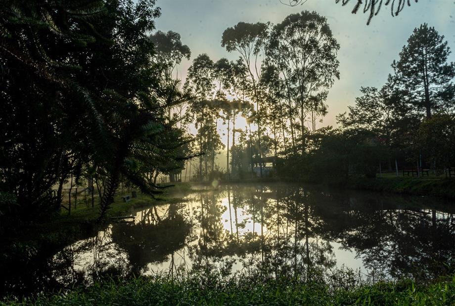 bezerra julho 21-57.jpg