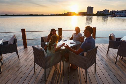 cilantro at sunset.jpg