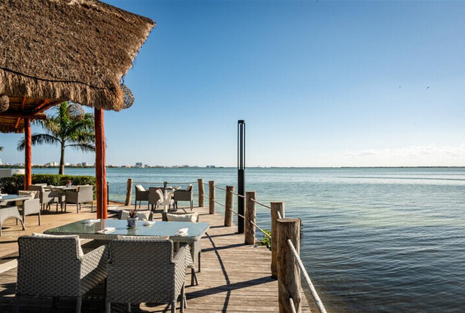 cilantro restaurant marina.jpg