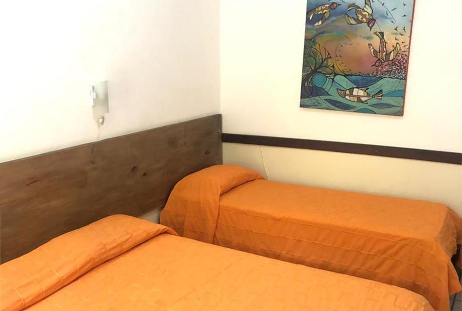 whatsapp image 2024-05-23 at 11.56.41.jpeg