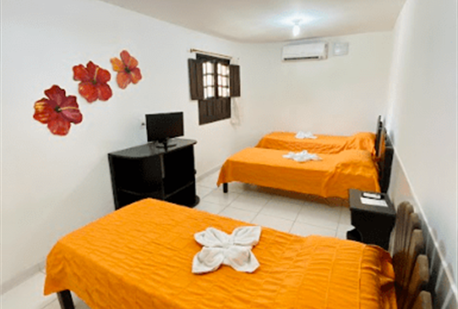 apto10 - solteiro1.png