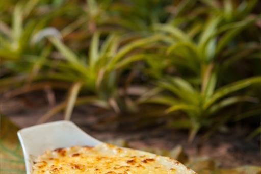 Açony Santos-8571.jpg