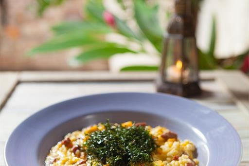 Açony Santos-8619.jpg