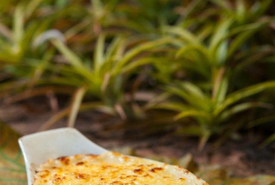 Açony Santos-8571.jpg