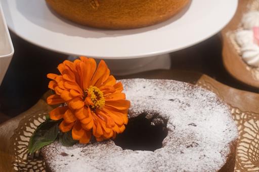 dsc04253_easy-resize.com (1).jpg