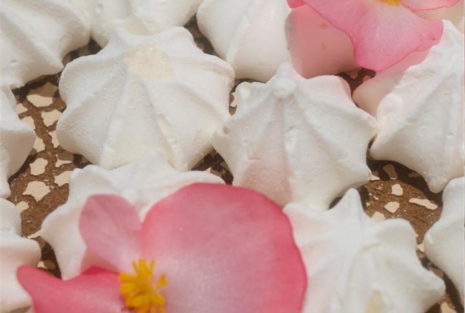 dsc04254_easy-resize.com (1).jpg