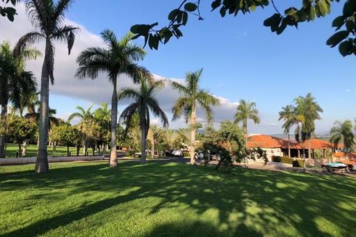 whatsapp image 2021-10-23 at 15.54.29.jpeg