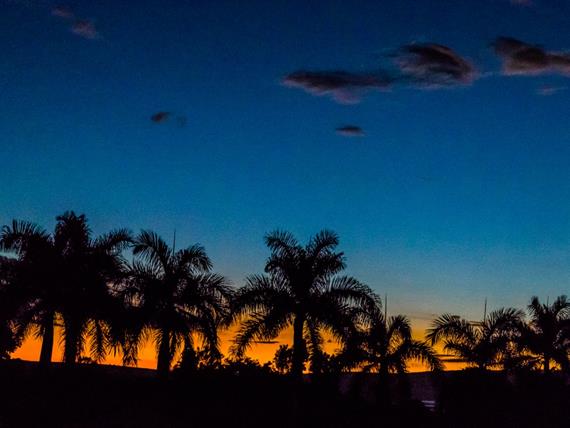 whatsapp image 2021-04-26 at 10.57.01.jpeg