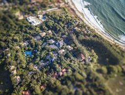 Sombra e Água Fresca Floresta