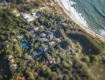 Sombra e Água Fresca Floresta