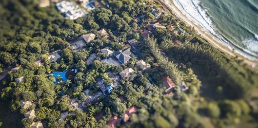 Sombra e Água Fresca Floresta