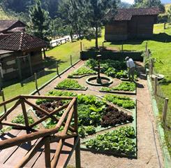 whatsapp image 2021-01-27 at 15.49.49.jpeg