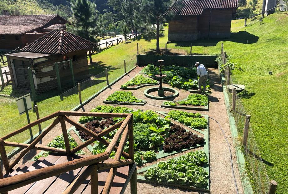 whatsapp image 2021-01-27 at 15.49.49.jpeg