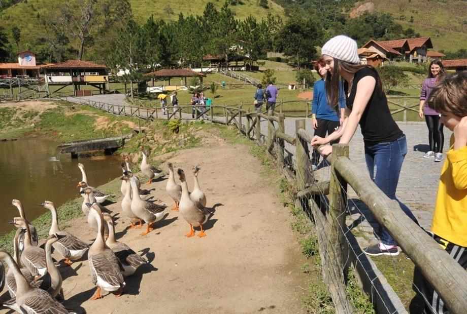 whatsapp image 2021-01-27 at 15.49.49 (14).jpeg