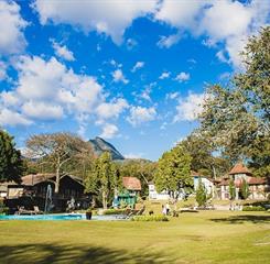 whatsapp image 2020-12-24 at 12.35.22.jpeg