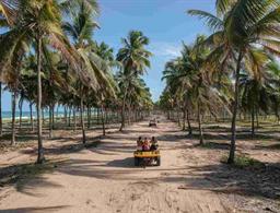 Tabaobi Smart Hotel