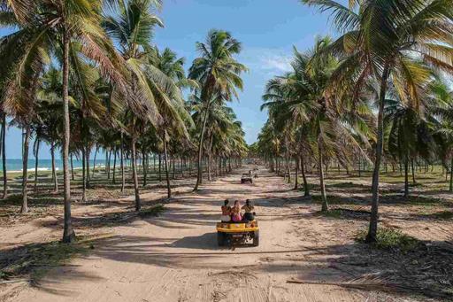 dji_0051 (1) (1).jpg